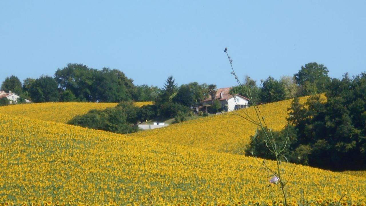 Villa La Tranquillite, Le Repos Nanteuil-Auriac-de-Bourzac Exterior foto